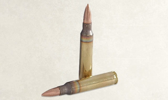 federal ammunition XM193