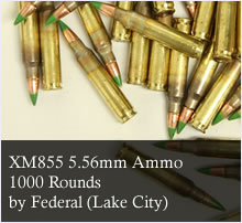 1000 Rounds of Federal Lake City XM855 5.56 Ammunition in M2A1 AMmo Can