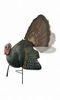 KILLER B TURKEY DECOY 69021