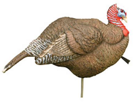  STRUT WOODY TURKEY DECOY