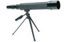SPORTVIEW  782061