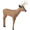 BULLY BUCK DECOY