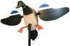 MALLARD DRAKE HW2107