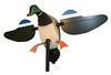 MALLARD HEN HW2108