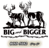 BIG AND BIGGER WHITETAIL DECAL OD5082
