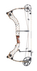 HELIM COMPOUND BOW