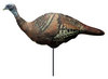 PHD POCKET HEN 69062