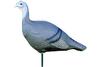 TURKEY DECOY WITH STAKE SF00845