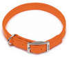 dog training gear