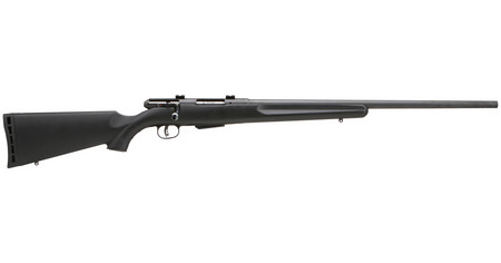 25 WALKING VARMINTER 17 RIFLE