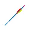 GENESIS 1820 ARROW
