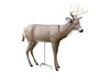 SCARFACE DEER DECOY 62601
