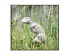 PREDATOR RABBIT WITH STAKE DECOY