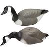 1 PIECE SHELL CANADA GOOSE DECOYS Q577