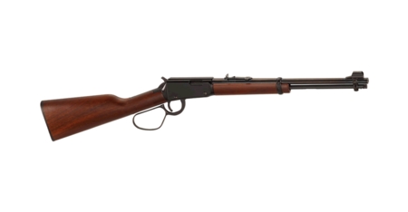 H001 .22 LEVER ACTION RIFLE (LARGE LOOP)