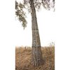 20` CLIMBING STICK STCS20