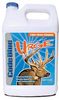 URGE WHITETAIL READY TO USE 1 GAL OA1101