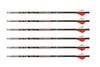 MAXIMA HUNTER 250 BLAZ 6PK