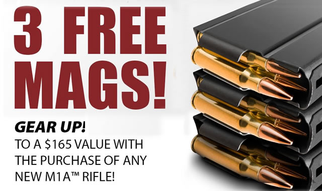 3 Free Mags