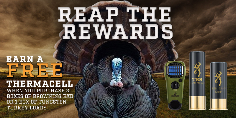 Reap the Rewards