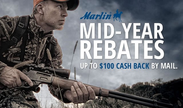 Mid Year Rebates Cash Back By Mail
