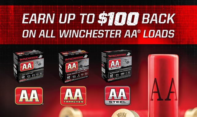 AA Cash Back Rebate