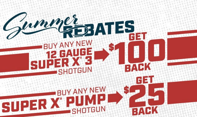 Summer Rebates
