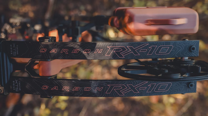 RX10 Series