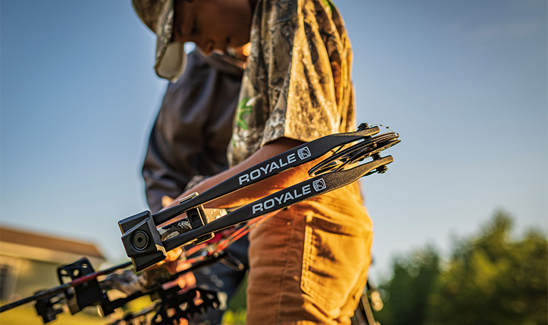 bear Royale Bows