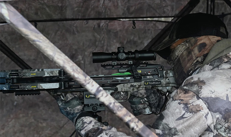 ten point Viper Bows