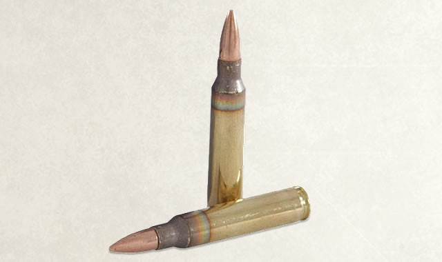 FEDERAL AMMUNITION XM193