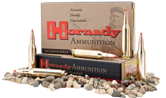 hornady Custom