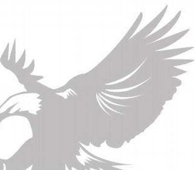 Liberty Ammo Logo