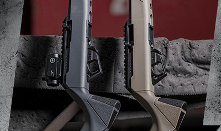savage RXR22