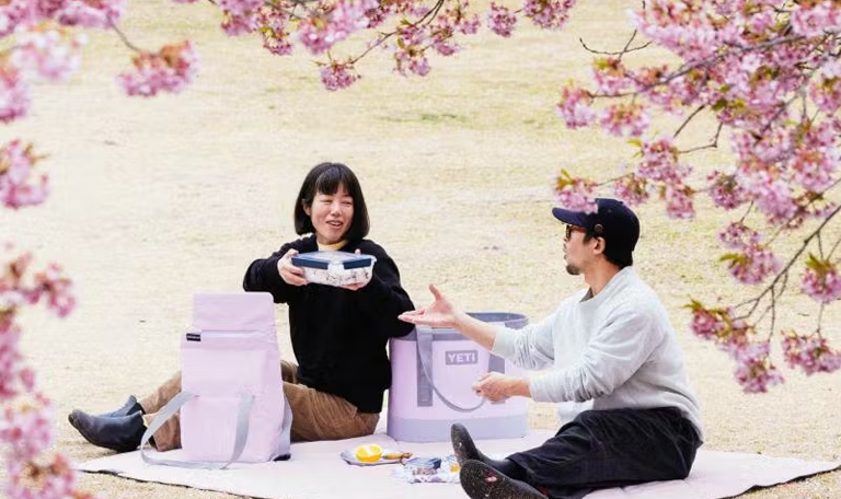 Cherry Blossom Collection