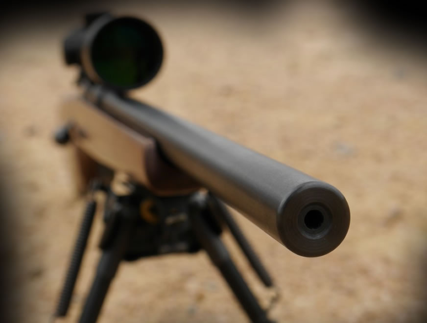 22lr deals
