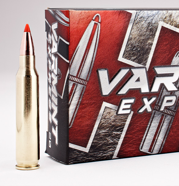 223 Remington Ammo for Sale