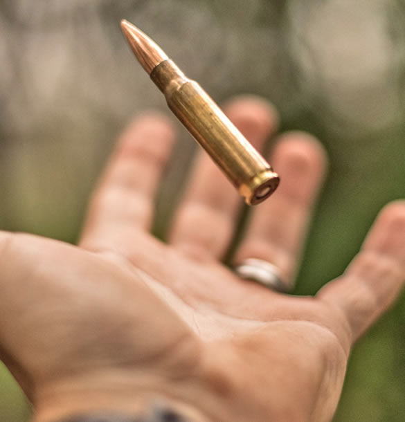 308 Winchester Ammo for Sale