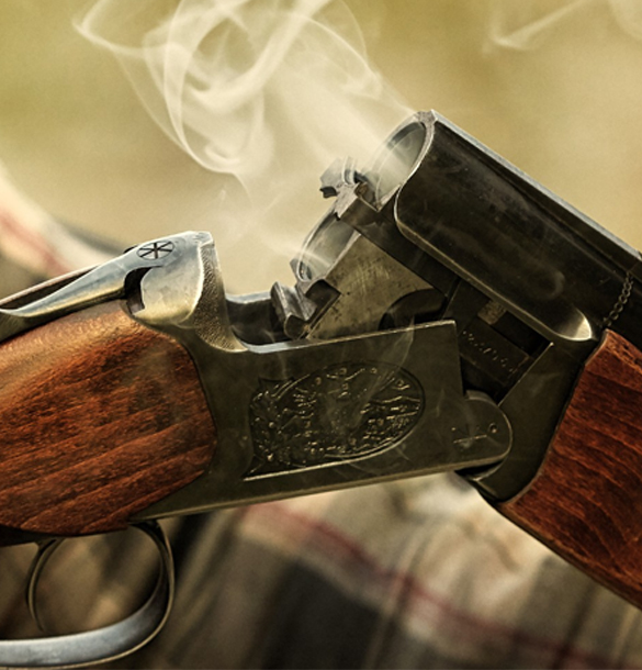 Shotguns