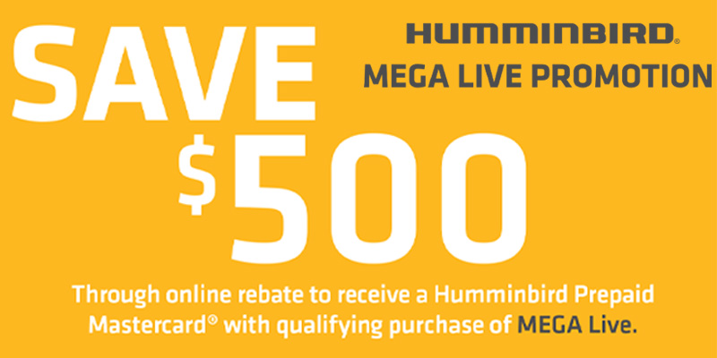 Mega Live Promo