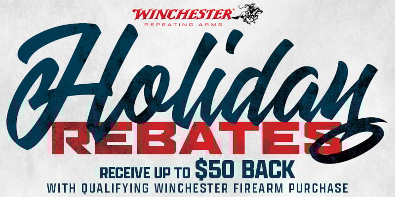 Holiday Rebates