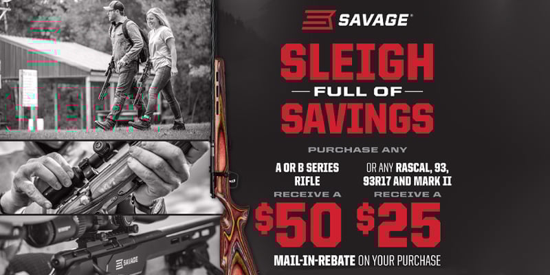 Sleigh Full of Savings