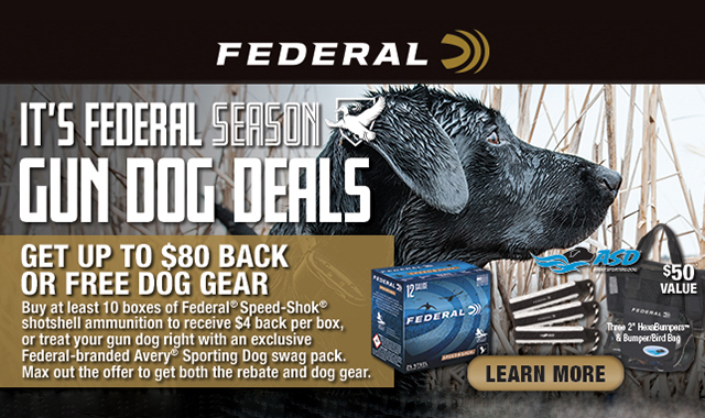 Its Federal Season Waterfowl Gun Dog Deals