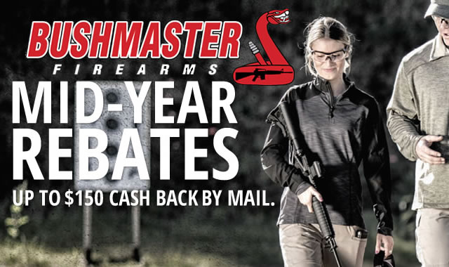 Mid Year Rebates Cash Back by Mail