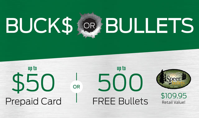 Bucks or Bullets