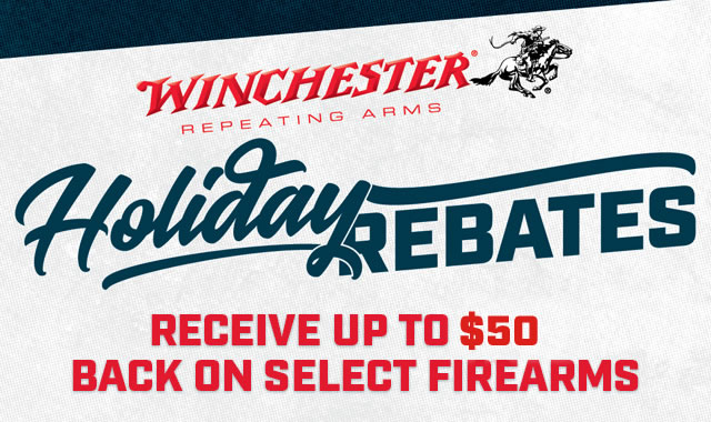 Holiday Rebates