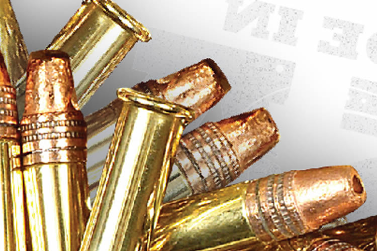 Winchester 22LR 36 gr Copper Plated Hollow Point 555 Round Brick ...