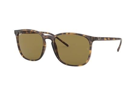 RB4387 TORTOISE FRAMES W/B-15 BROWN CLASSIC LENSES