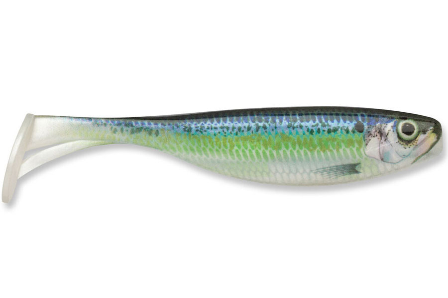 Discount Storm Largo Shad (Live River Shad) for Sale Online Fishing
