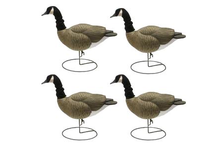 LIMIT WATERFOWL Canada Goose Full Body Decoy with Flexlite Heads 4 Pack